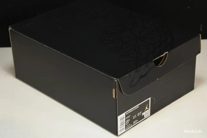 1 SE Jordan Concord Low DV1309-100 0723